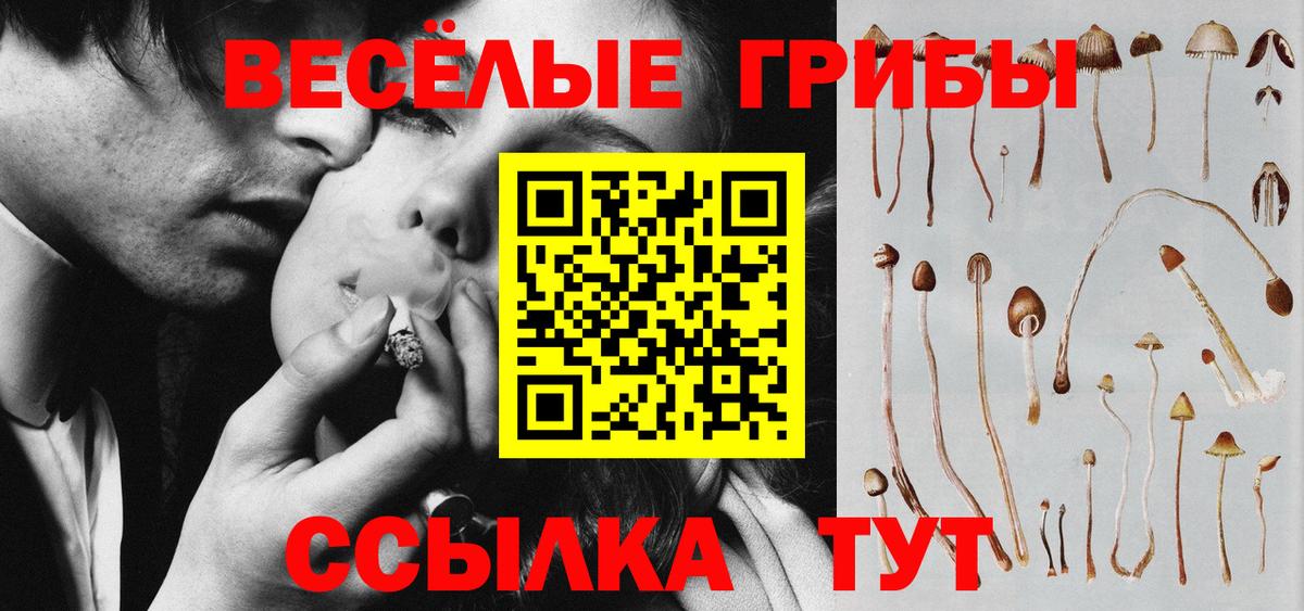 Псилоцибиновые грибы GOLDEN TEACHER  Вход с VPN  Реж 