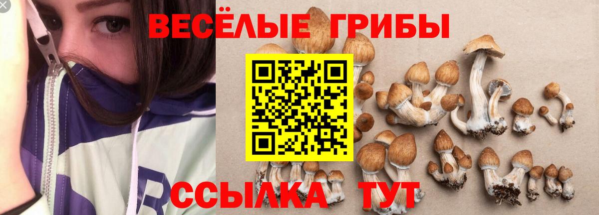 Псилоцибиновые грибы ЛСД Реж
